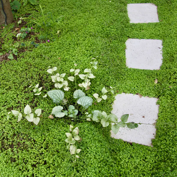 Les jardins d'exception