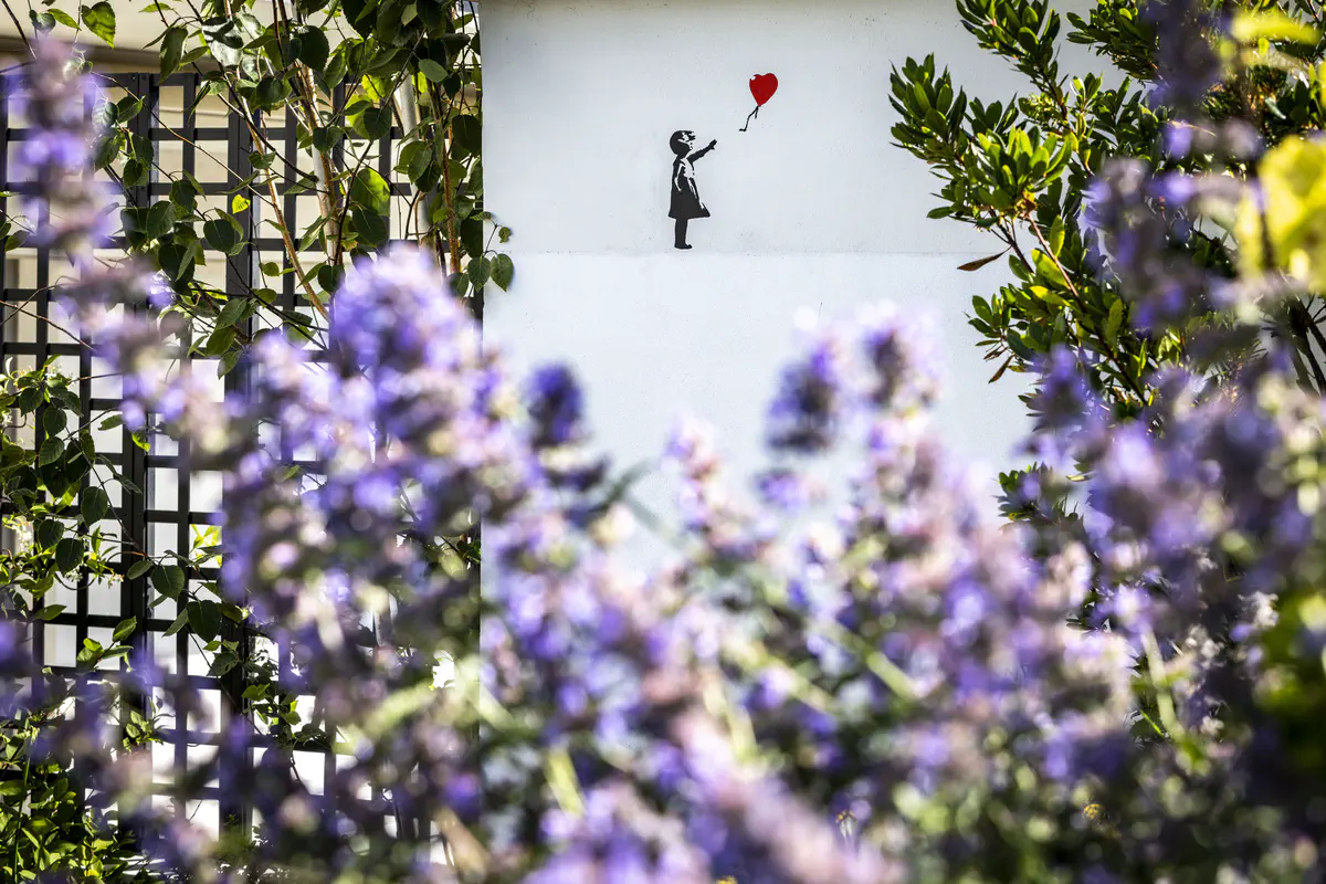 Mur végétalisé avec treillis décoratif, lavandes en premier plan et fresque murale artistique pour un jardin contemporain et expressif.
