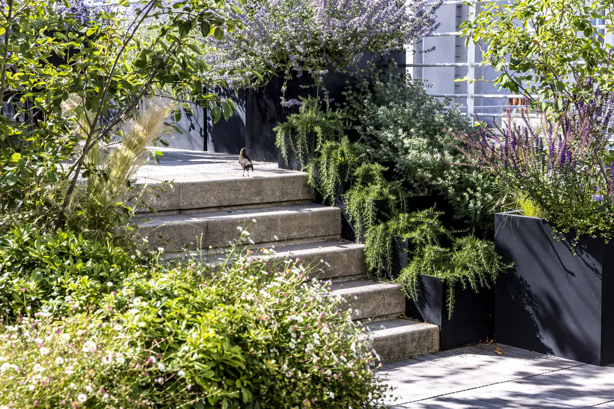 Escalier paysager entouré de jardinières modernes et plantes méditerranéennes, intégrées dans un jardin urbain raffiné.