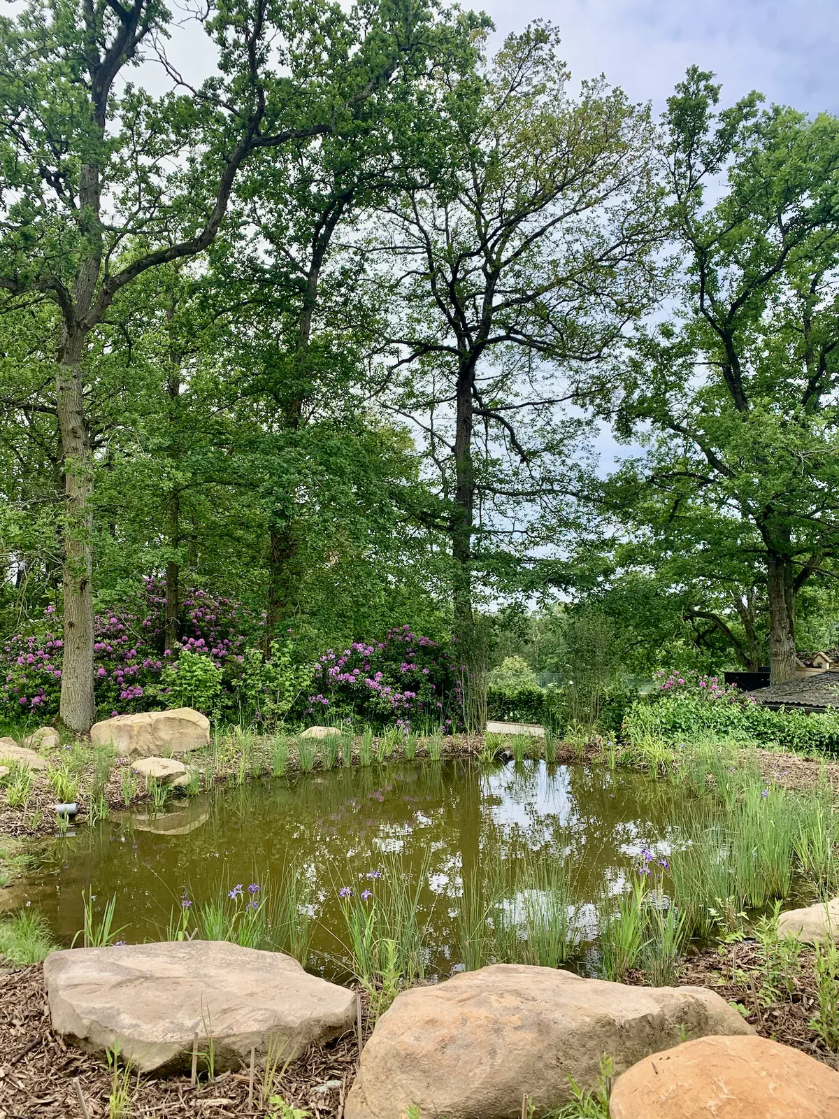 Étang naturel entouré de végétation locale et pierres paysagères, illustrant un écosystème de jardin autonome et respectueux de l’environnement.