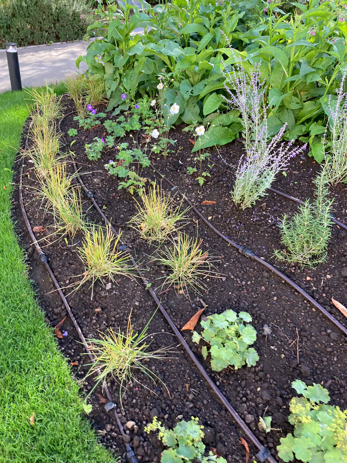Massif fleuri avec système d’arrosage goutte-à-goutte intégré pour un jardin économe en eau et facile à entretenir.